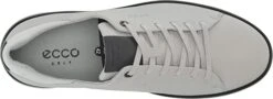 Ecco Men's Tray Golf Shoes -Cheap Golf Shop EccoTray ConcreteBlack4